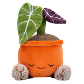 Greenhouse by Russ 12" Black Velvet Alocasia Plant Plush | Jazwares / Squishmallows Category