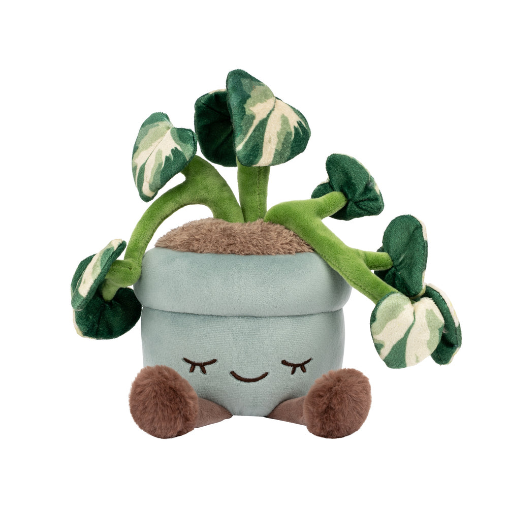 Greenhouse by Russ 12" Pothos Plant Plush | Jazwares / Squishmallows Category