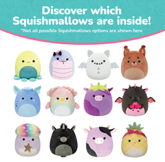 Squishmallows 13-Pack Mystery Box | Jazwares / Squishmallows Category