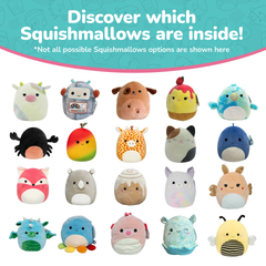 Squishmallows 4 Pack Mystery Box | Jazwares / Squishmallows Category