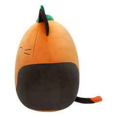 Squishmallows Pumpkin Cam | Jazwares / Squishmallows Category