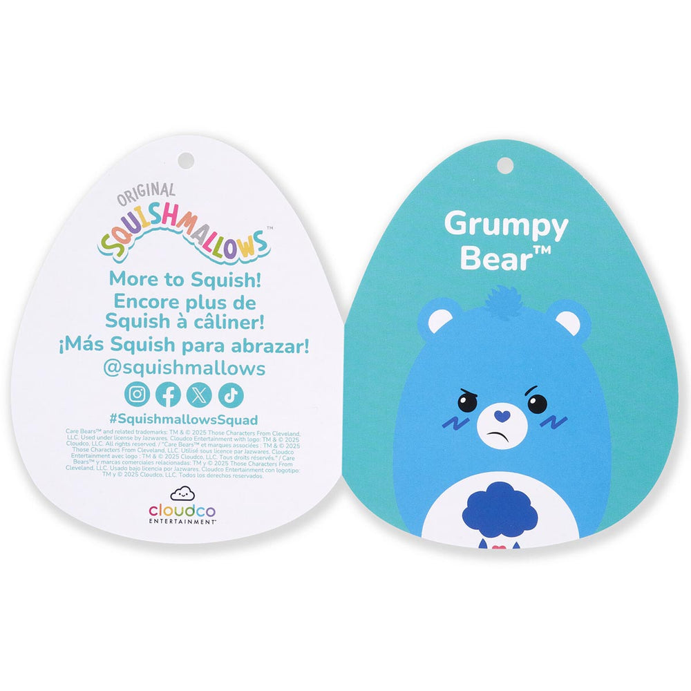 Squishmallows Care Bears 12-Inch Grumpy Bear | Jazwares / Squishmallows   Brand