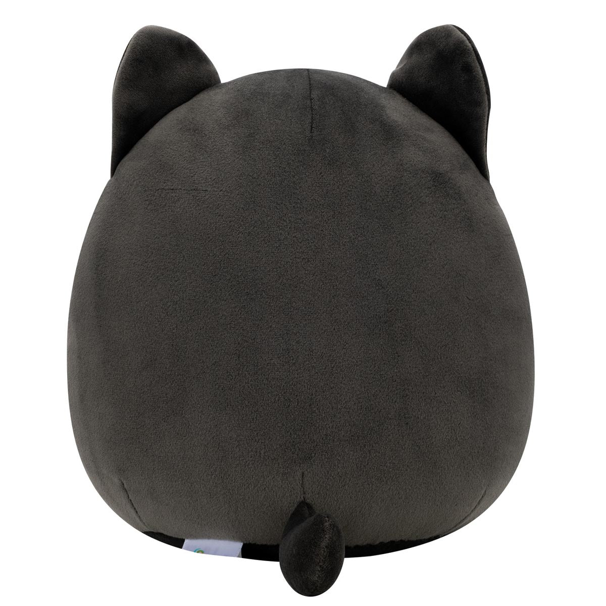 Squishmallows 8" Autumn the Black Cat with Purple Belly | Jazwares / Squishmallows   Squad
