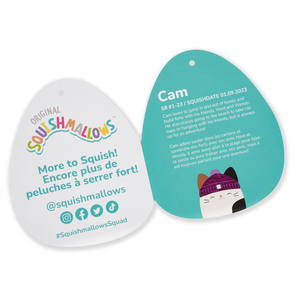 Squishmallows 14" Cam Calico Cat with Purple Hat | Jazwares / Squishmallows   Squad