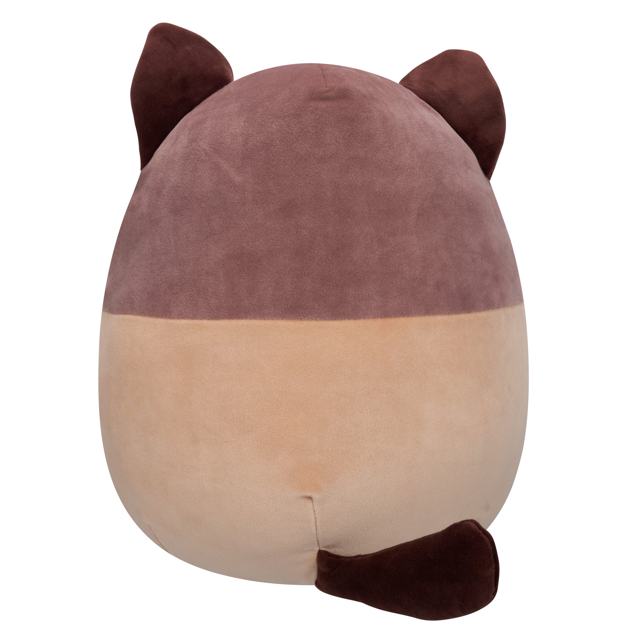 Squishmallows 16" Woodward the Brown and Tan Snowshoe Cat | Jazwares / Squishmallows   Squad