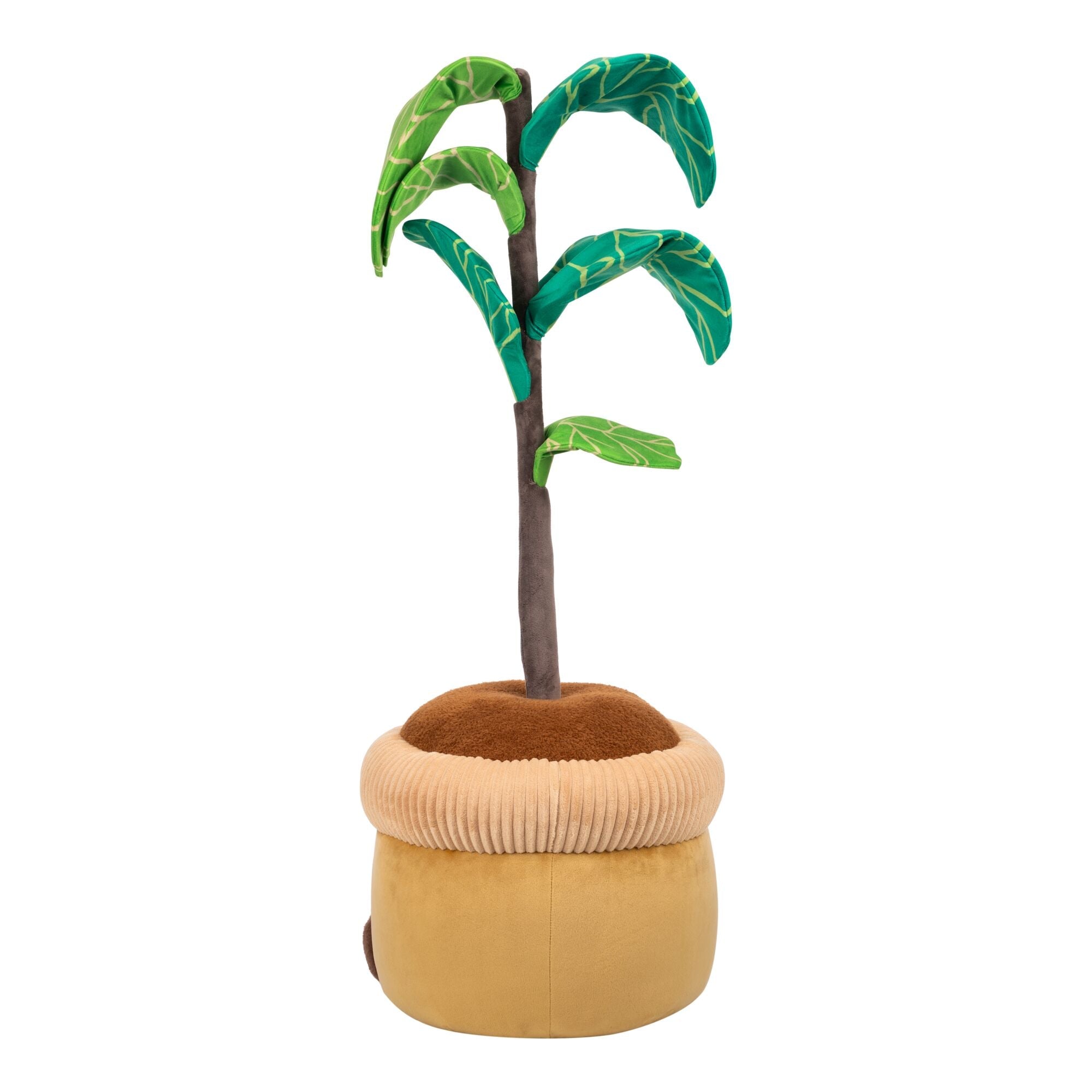 Greenhouse by Russ 4 Feet Tall Fiddle Tree Plush | Jazwares / Squishmallows   Category