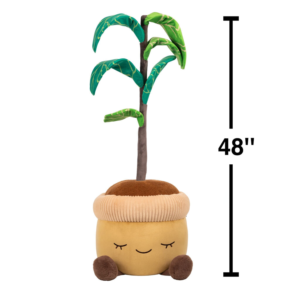 Greenhouse by Russ 4 Feet Tall Fiddle Tree Plush | Jazwares / Squishmallows   Category