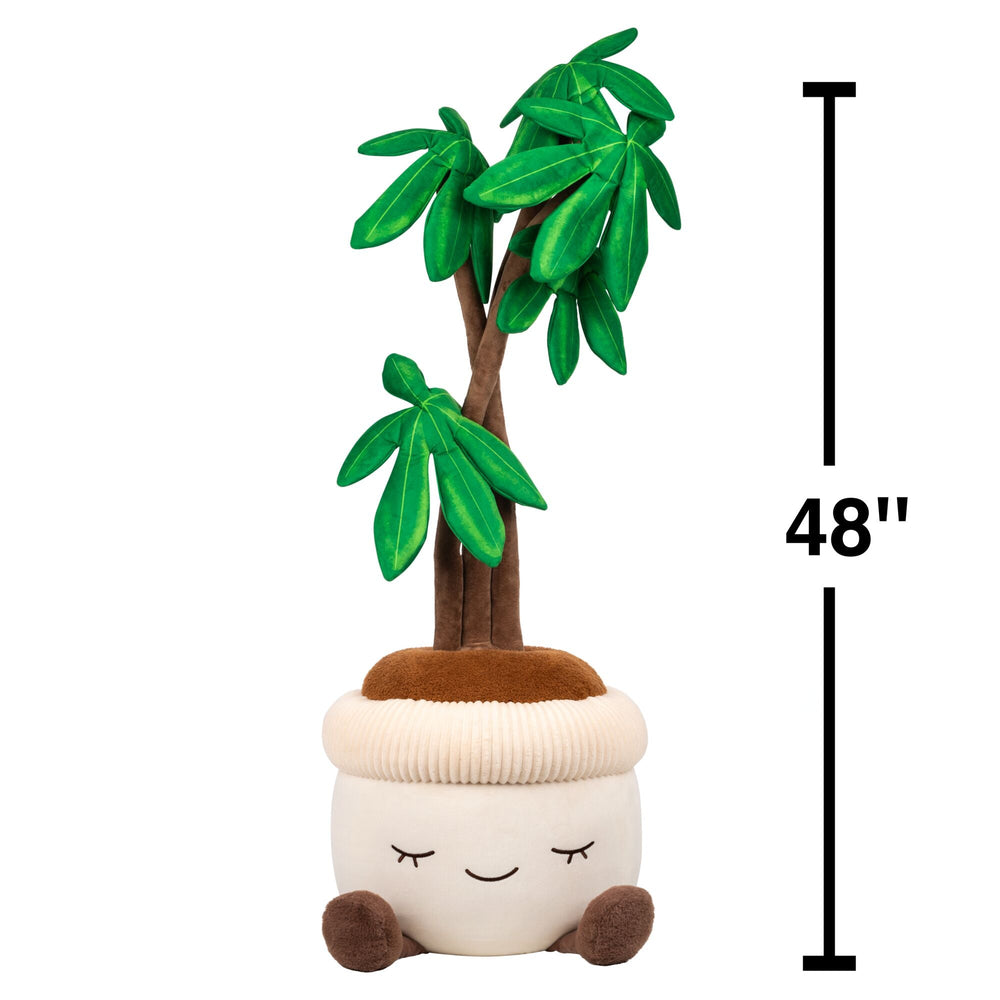 Greenhouse by Russ 4 Feet Tall Money Tree Plush | Jazwares / Squishmallows   Category
