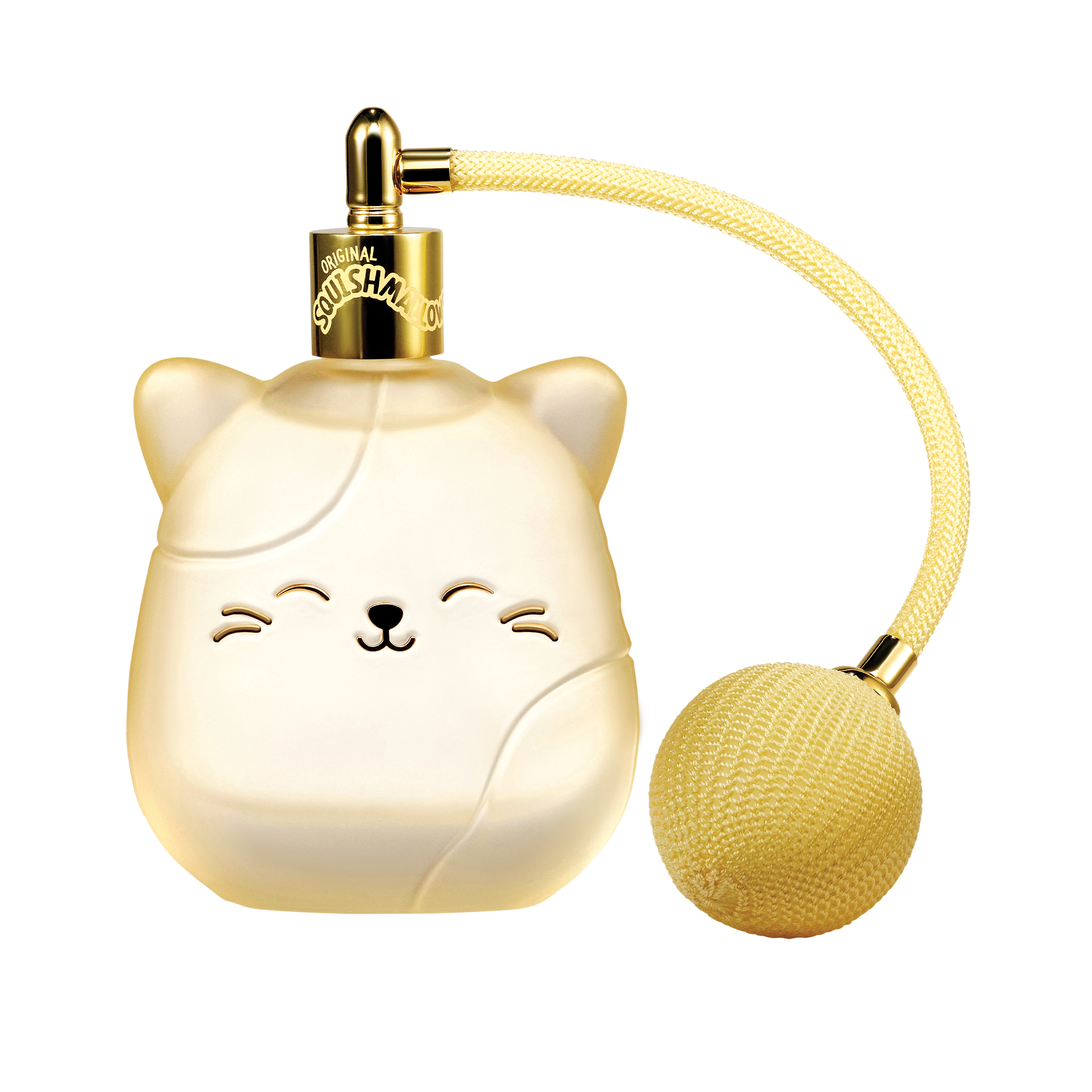 100 mL