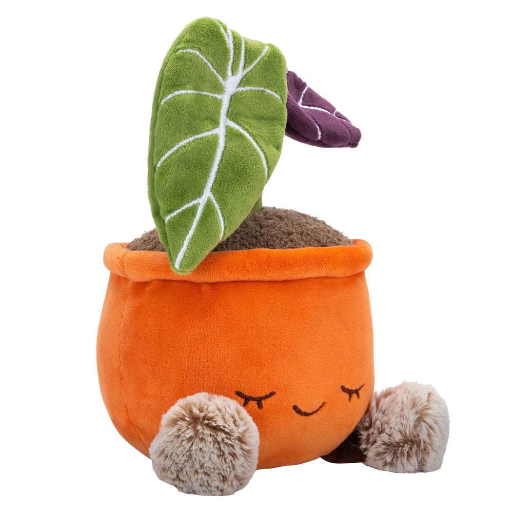Greenhouse by Russ 12" Black Velvet Alocasia Plant Plush | Jazwares / Squishmallows   Category