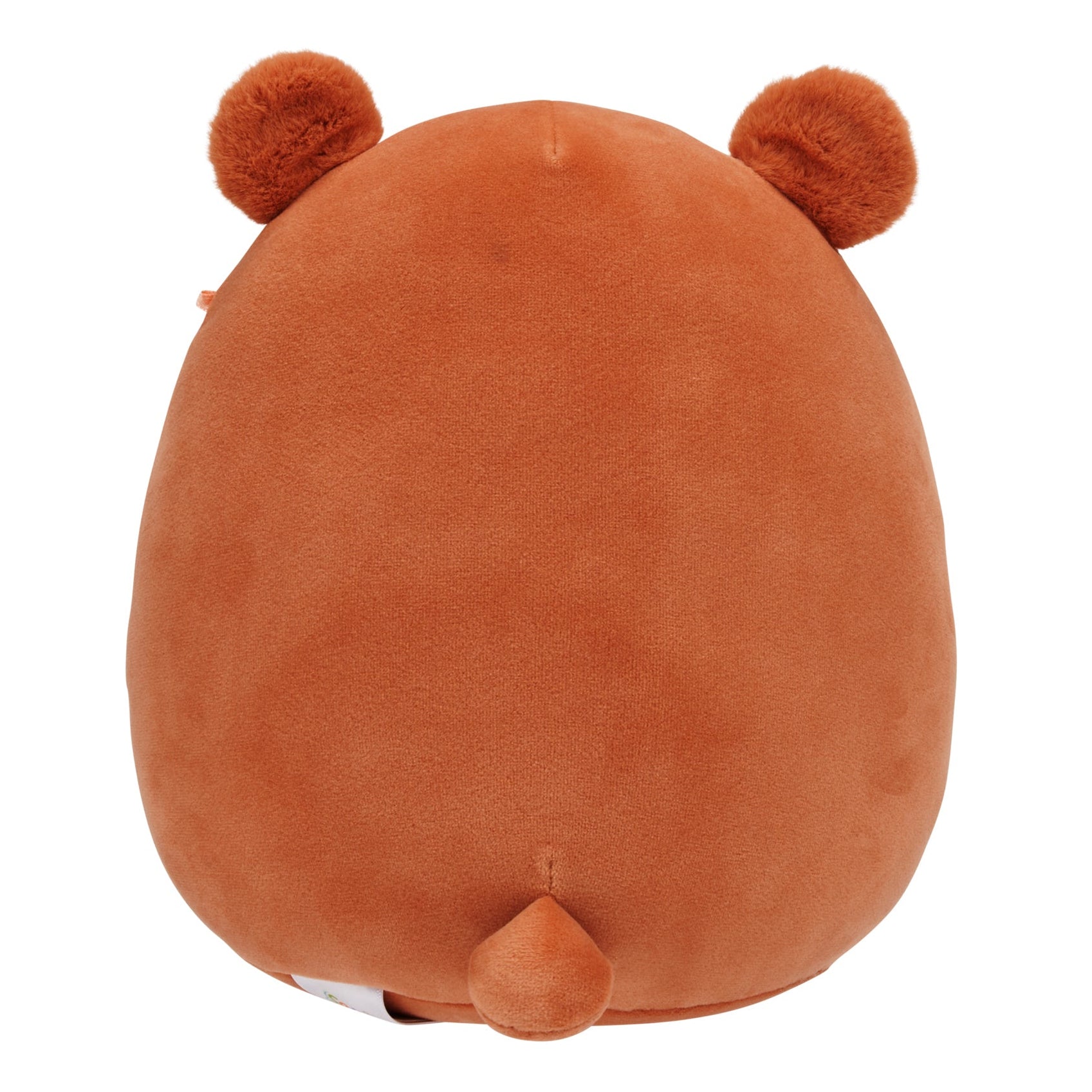 Squishmallows 8" Stokely the Brown Kodiak Bear Holding a Heart | Jazwares / Squishmallows   Category