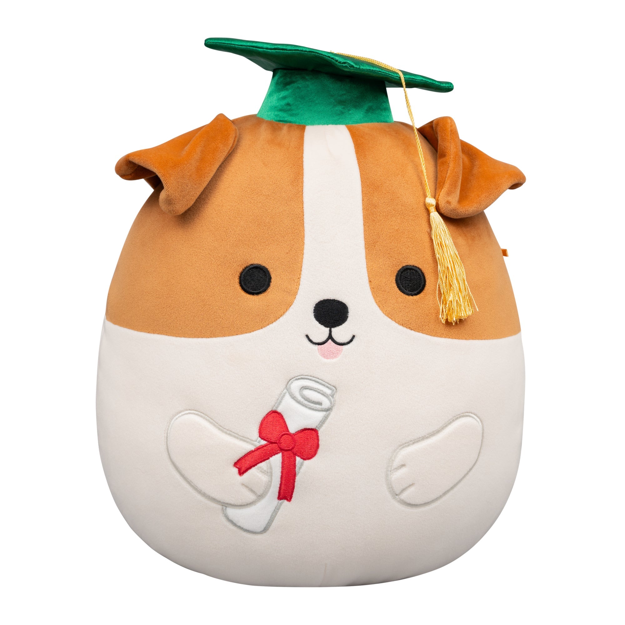 Squishmallows 12" Brenden the Jack Russell Terrier with Green Graduation | Jazwares / Squishmallows   Squad