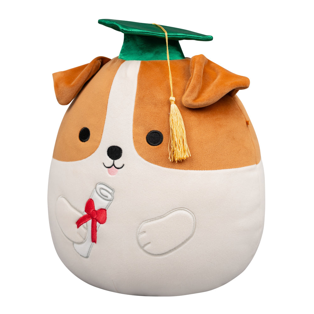 Squishmallows 12" Brenden the Jack Russell Terrier with Green Graduation | Jazwares / Squishmallows   Squad