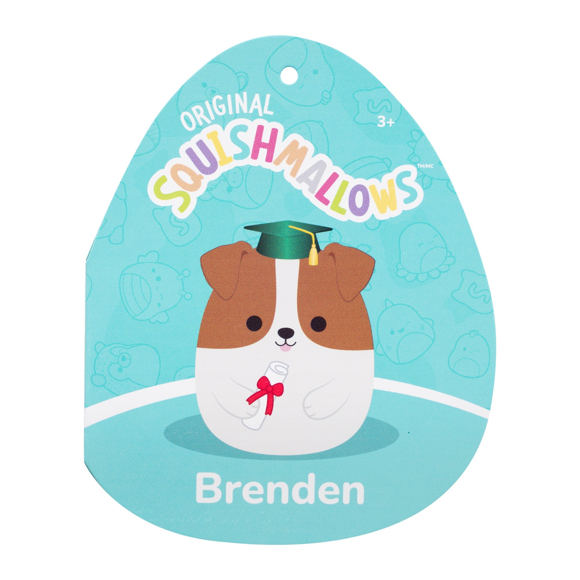 Squishmallows 12" Brenden the Jack Russell Terrier with Green Graduation | Jazwares / Squishmallows   Squad