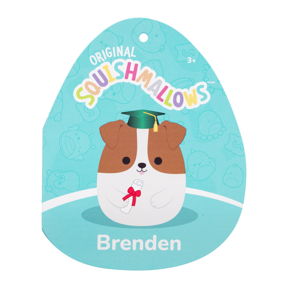 Squishmallows 12" Brenden the Jack Russell Terrier with Green Graduation | Jazwares / Squishmallows   Squad