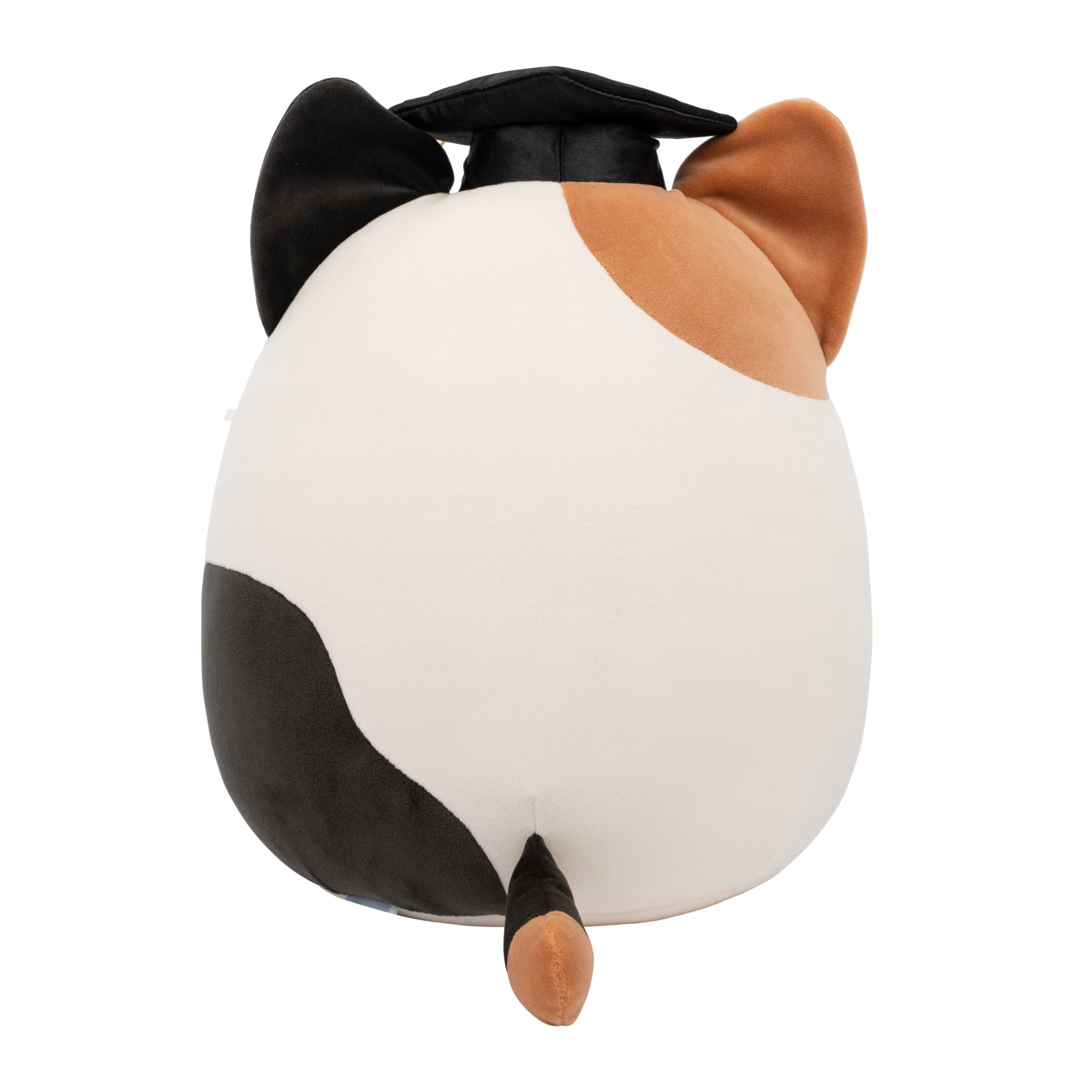 Squishmallows 12" Cam the Calico Cat in Graduation Cap | Jazwares / Squishmallows   Squad