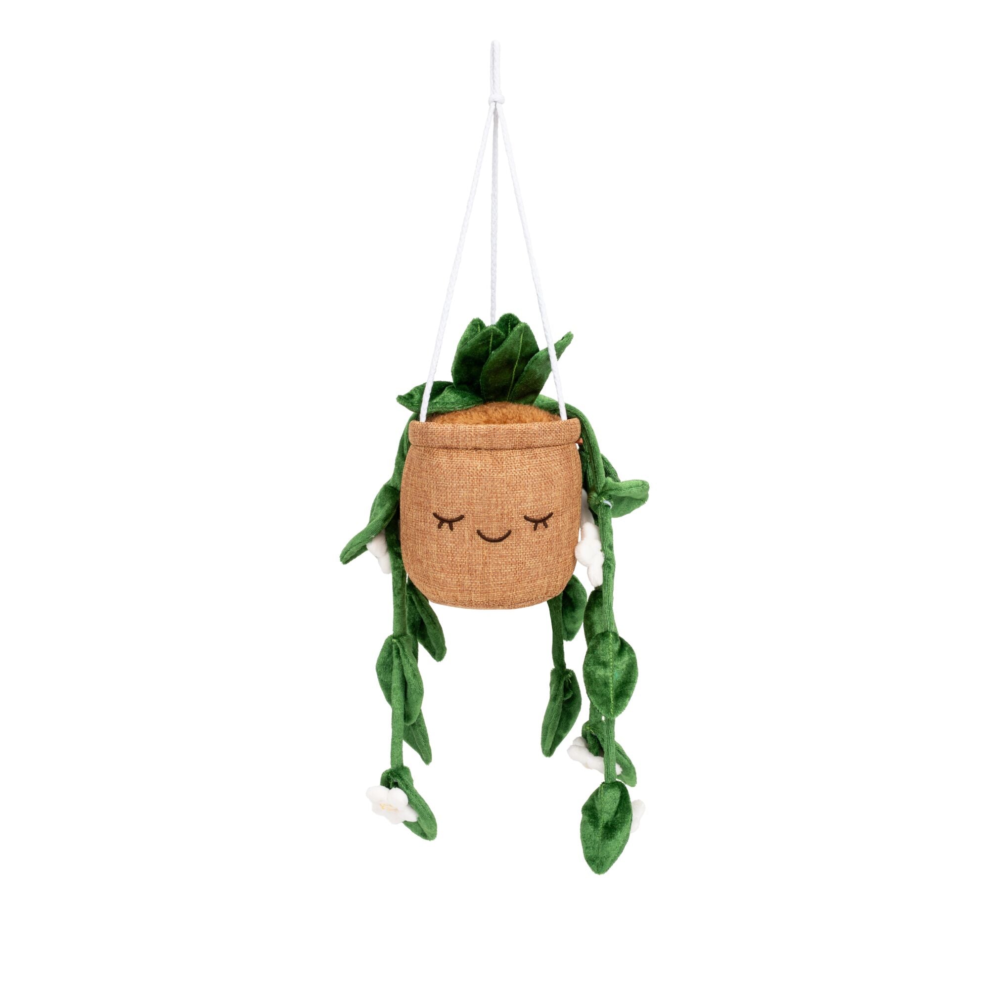 Greenhouse by Russ 8"Hanging Plant with Flowers Plush | Jazwares / Squishmallows   Category