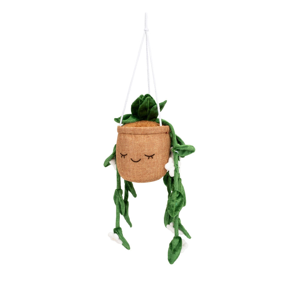 Greenhouse by Russ 8"Hanging Plant with Flowers Plush | Jazwares / Squishmallows   Category
