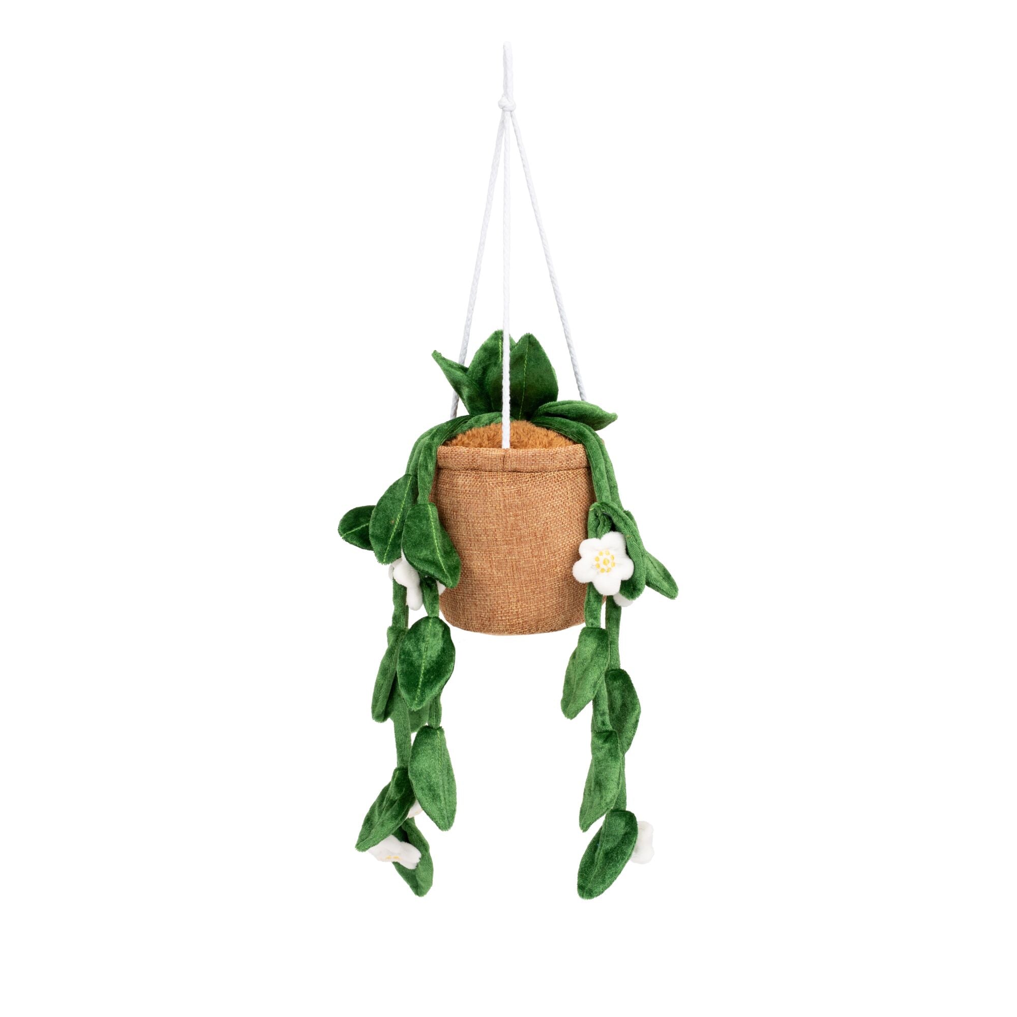 Greenhouse by Russ 8"Hanging Plant with Flowers Plush | Jazwares / Squishmallows   Category
