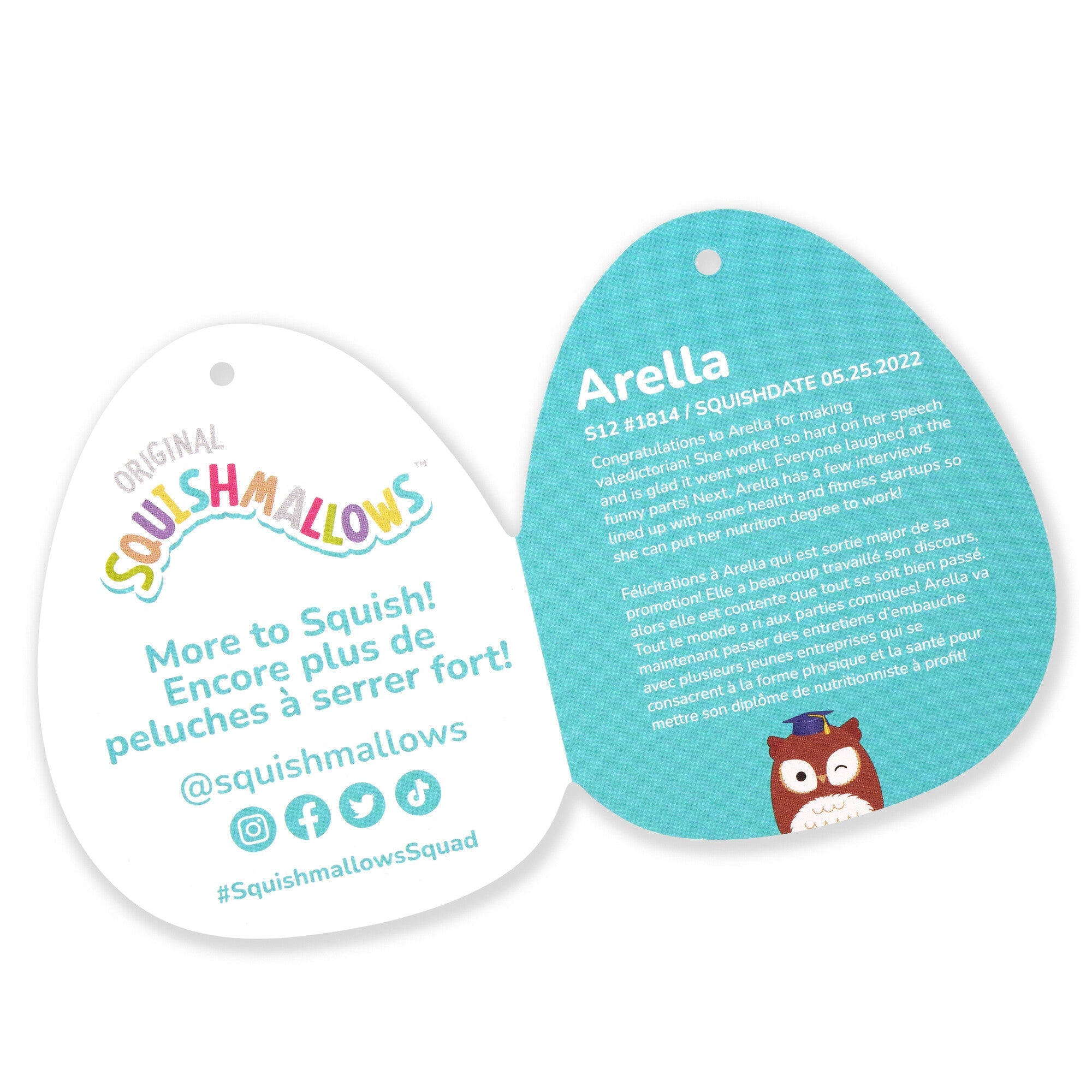 Squishmallows 12" Arella the Brown Owl in Graduation Cap | Jazwares / Squishmallows   Squad