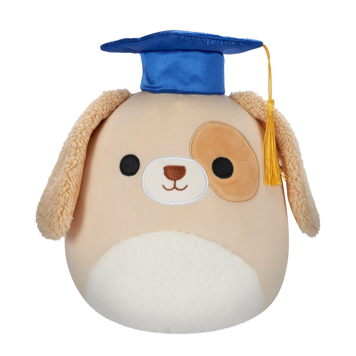 Squishmallows 8" Harris the Brown Spotted Dog in Graduation Cap | Jazwares / Squishmallows   Squad