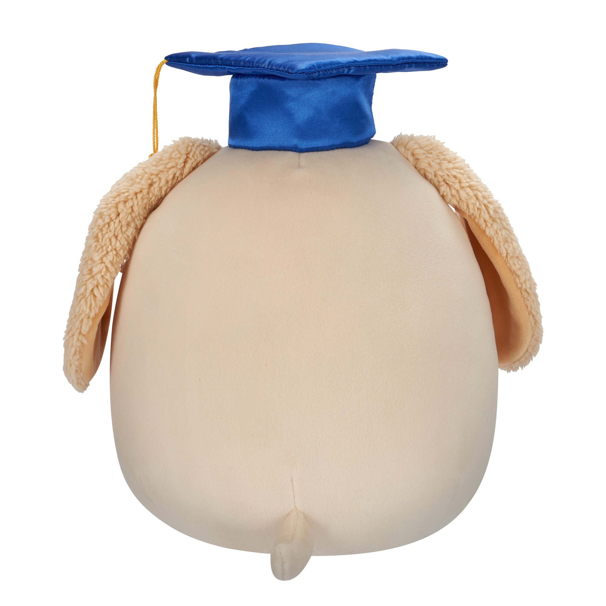 Squishmallows 8" Harris the Brown Spotted Dog in Graduation Cap | Jazwares / Squishmallows   Squad