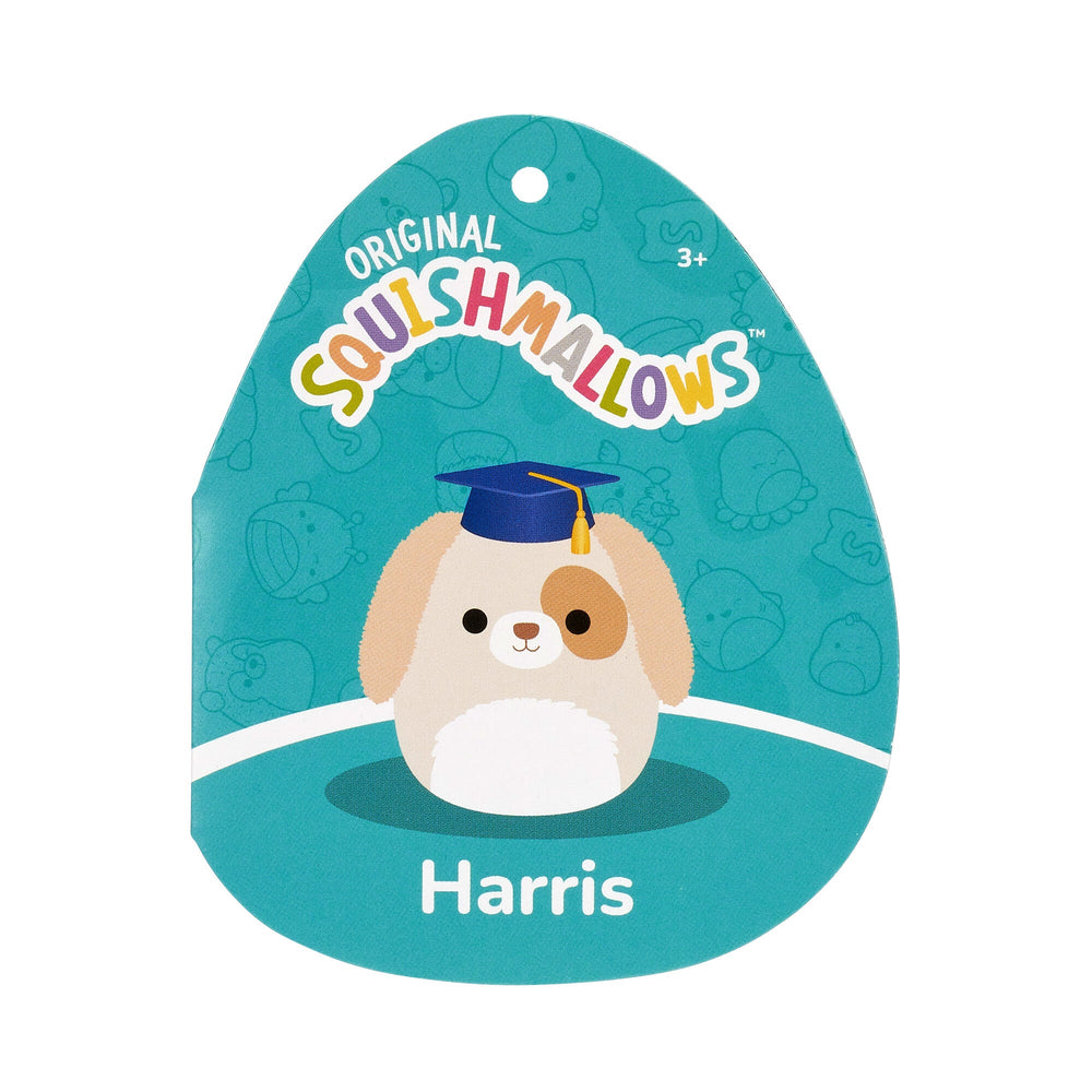 Squishmallows 8" Harris the Brown Spotted Dog in Graduation Cap | Jazwares / Squishmallows   Squad