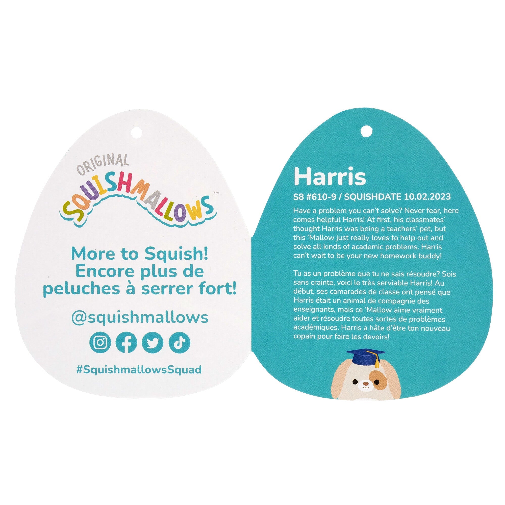 Squishmallows 8" Harris the Brown Spotted Dog in Graduation Cap | Jazwares / Squishmallows   Squad