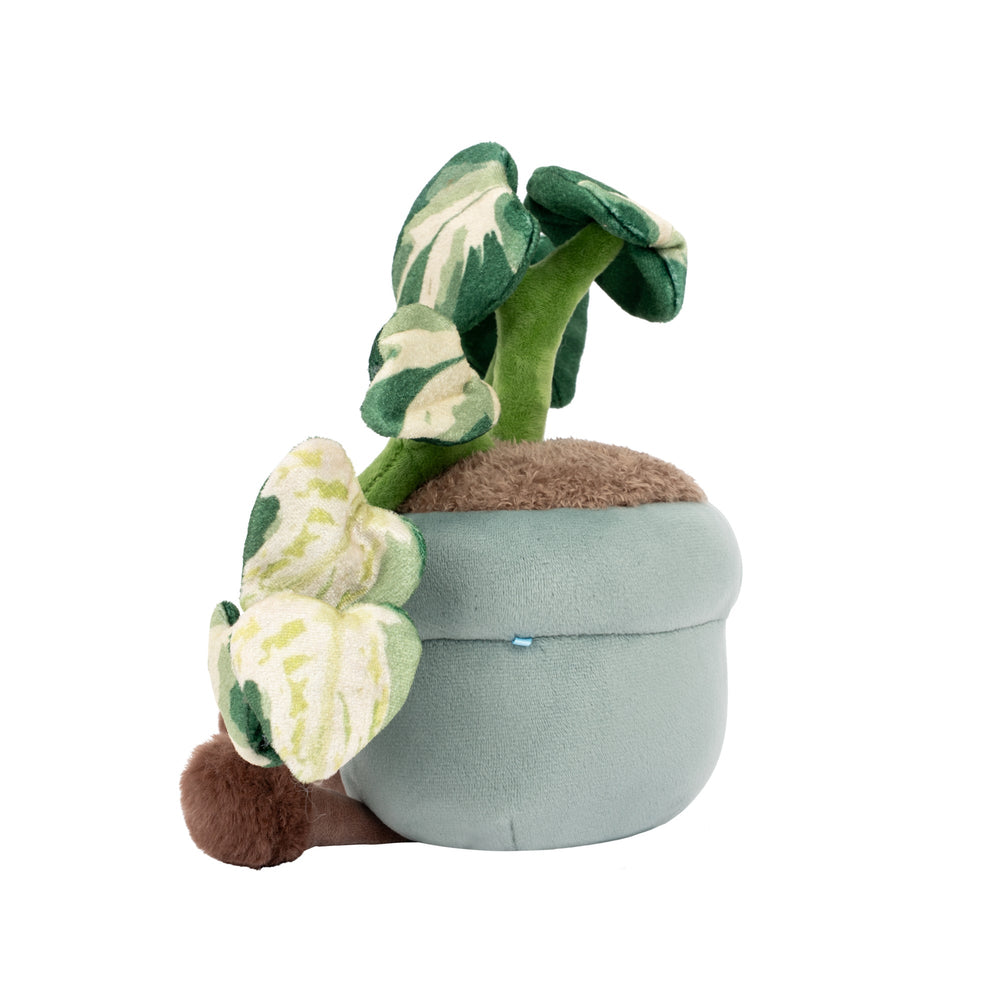 Greenhouse by Russ 12" Pothos Plant Plush | Jazwares / Squishmallows   Category