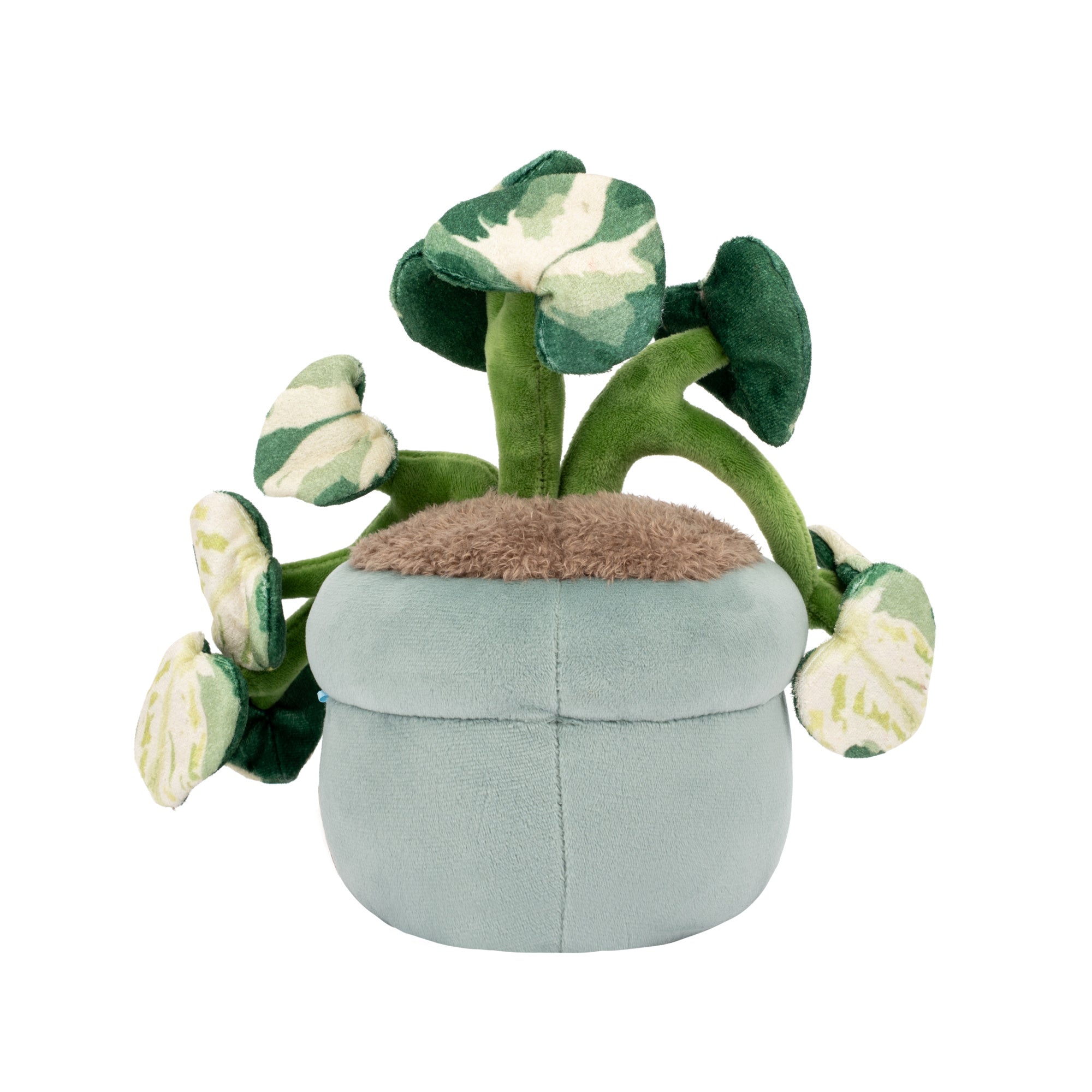 Greenhouse by Russ 12" Pothos Plant Plush | Jazwares / Squishmallows   Category