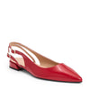 Berry Patent