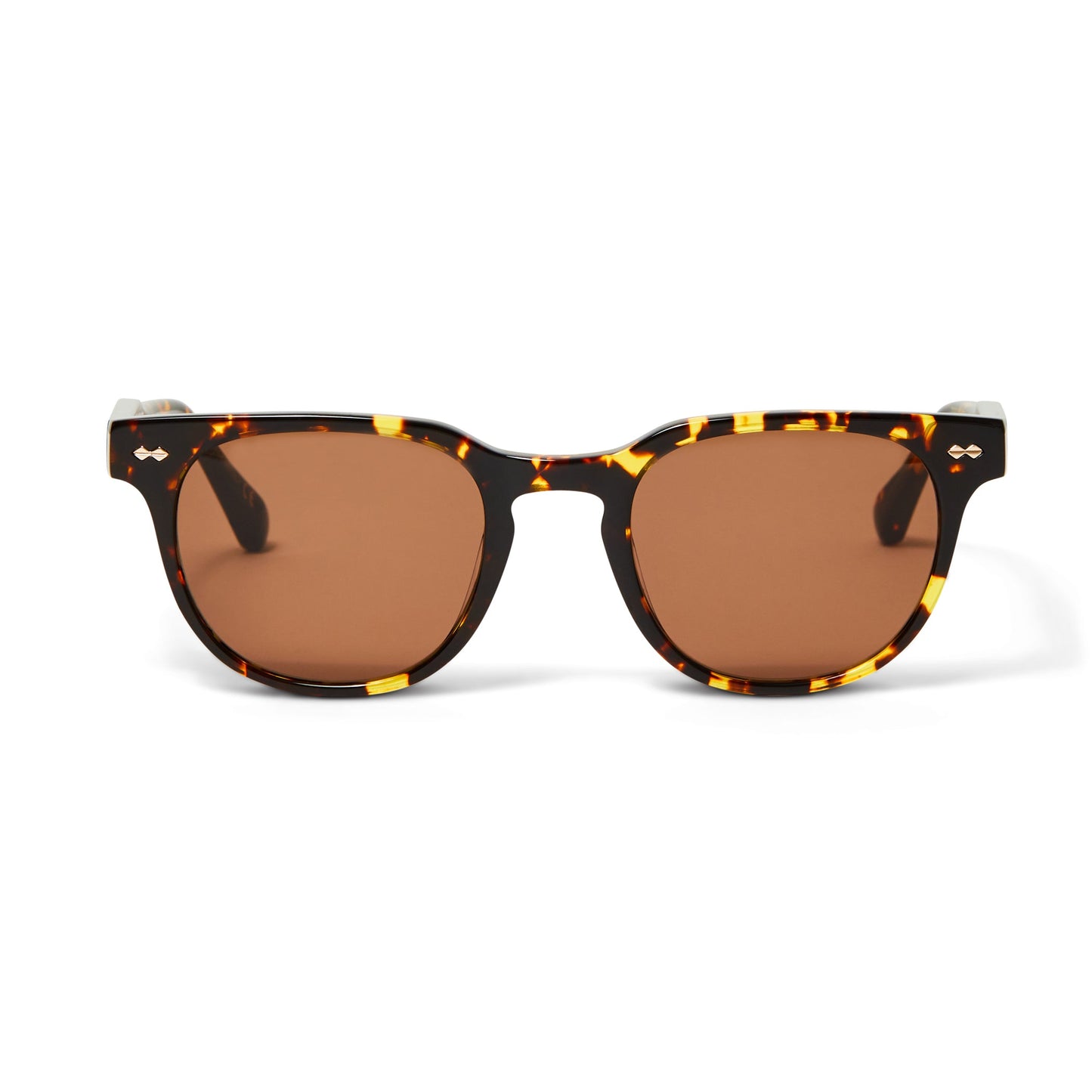 Bruno Magli Treviso Sunglasses Tortoise