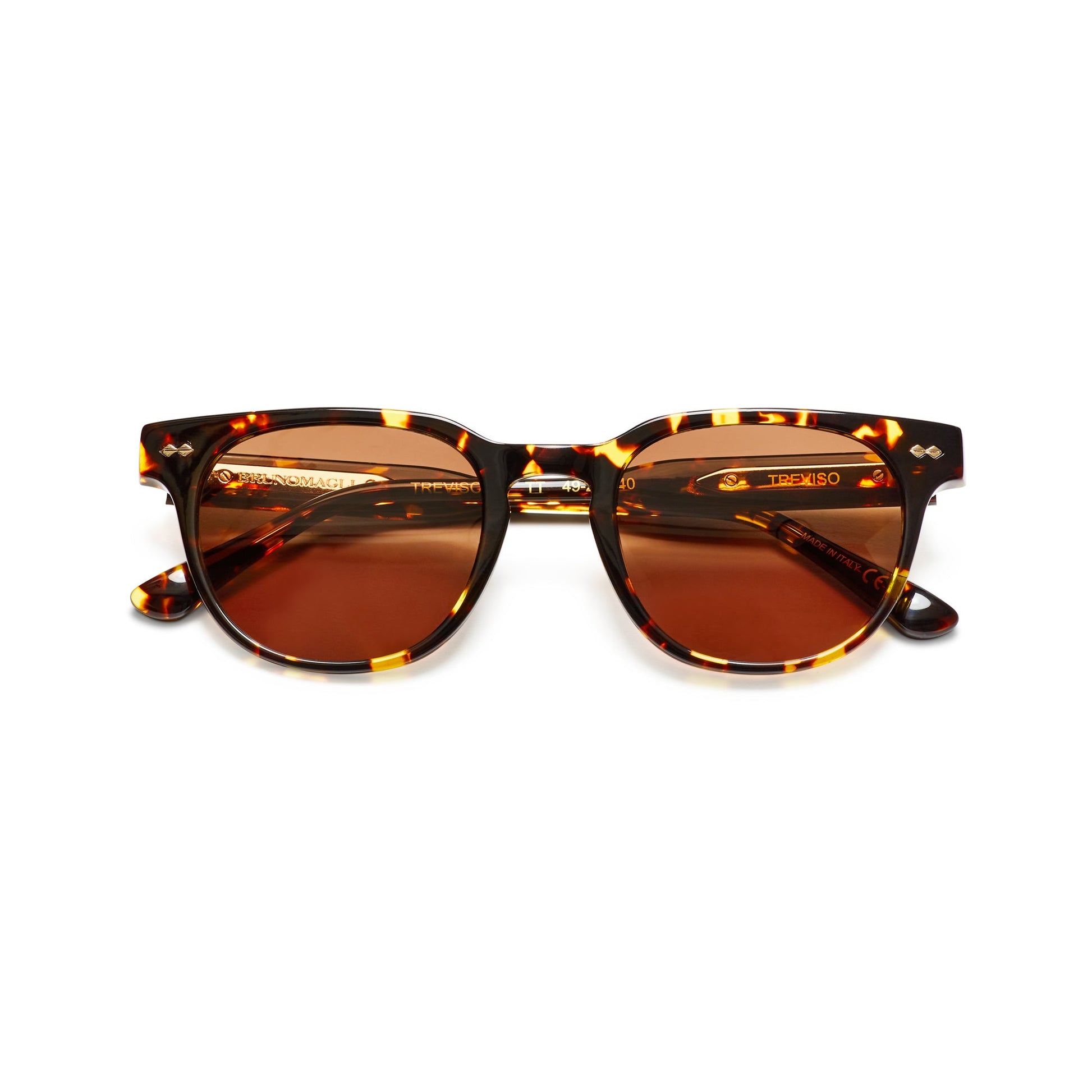 Bruno Magli Treviso Sunglasses Tortoise