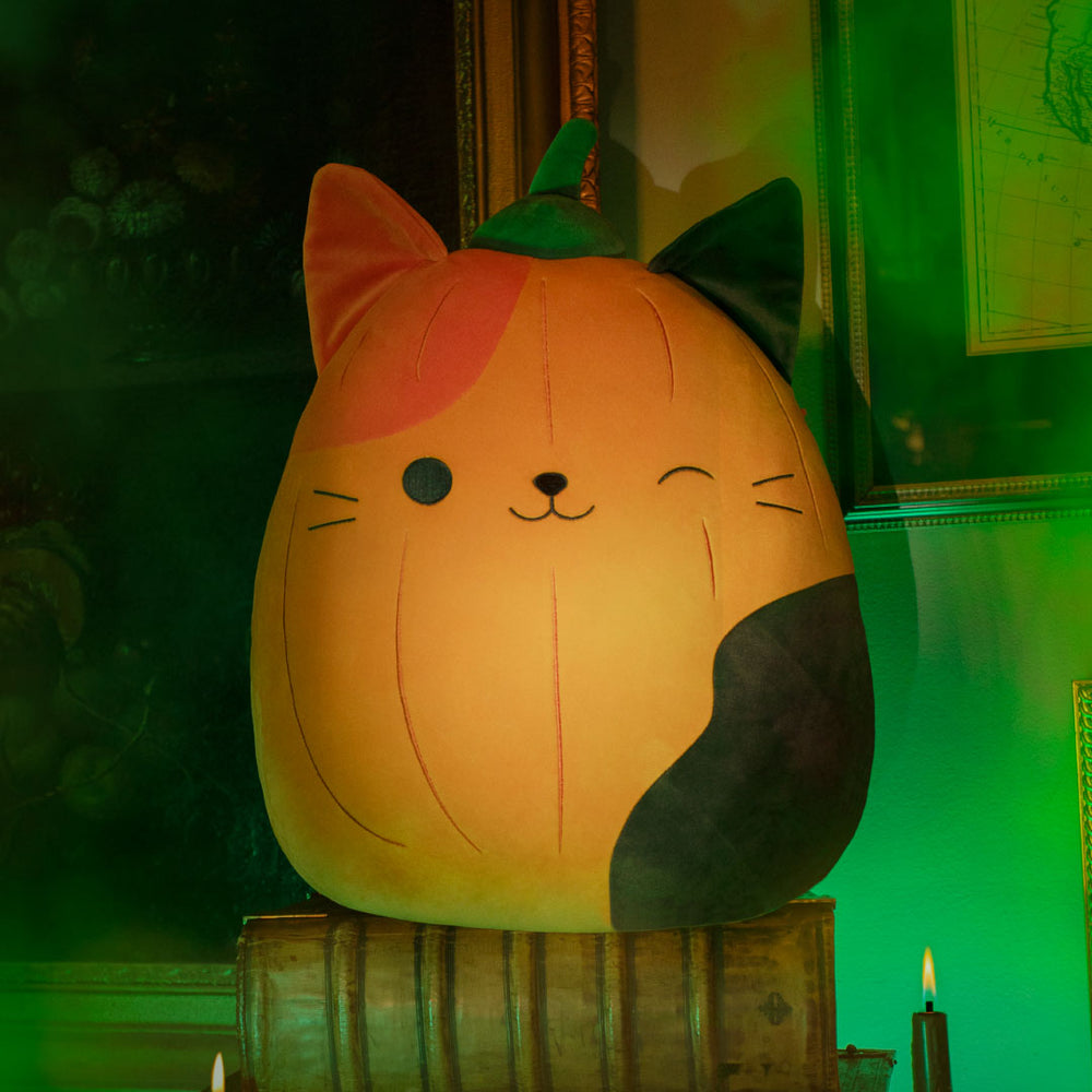 Squishmallows Pumpkin Cam | Jazwares / Squishmallows   Category