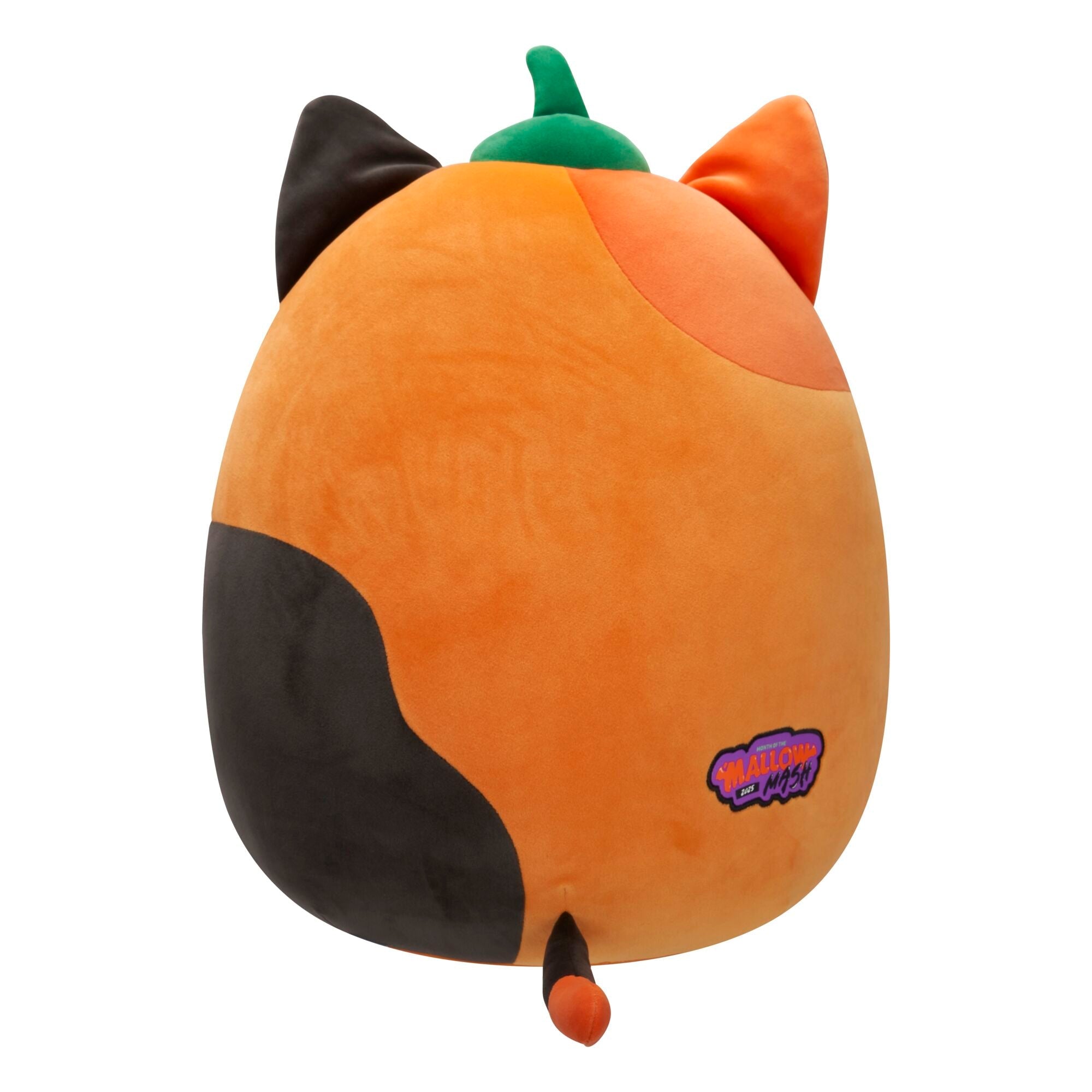 Squishmallows Pumpkin Cam | Jazwares / Squishmallows   Category