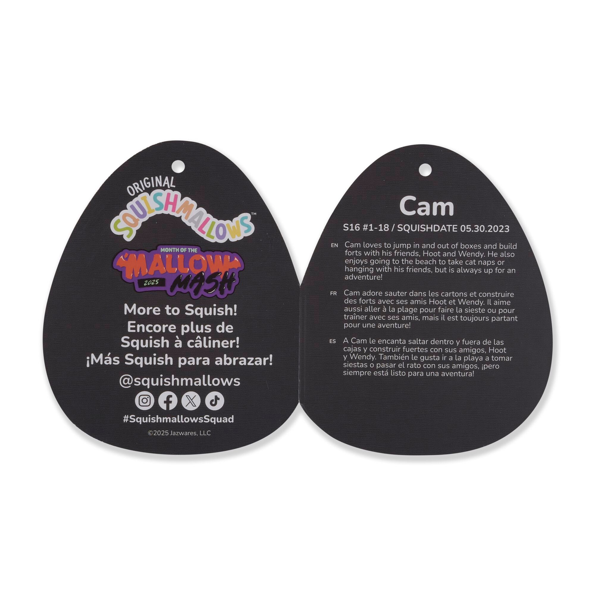 Squishmallows Pumpkin Cam | Jazwares / Squishmallows   Category