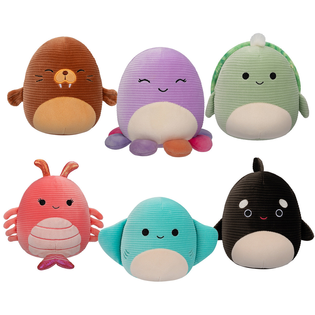 Squishmallows Corduroy Sealife 6 Pack | Jazwares / Squishmallows   Squad