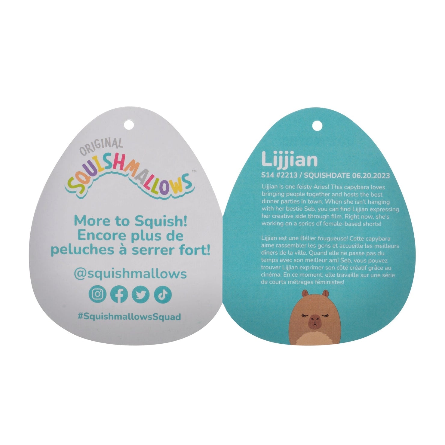 Squishmallows 14" Lijjian the Brown Capybara| Jazwares / Squishmallows   Squad